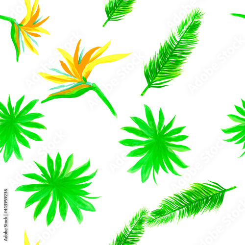 Green Pattern Exotic. Organic Seamless Texture. White Tropical Painting. Natural Isolated Hibiscus. Drawing Leaves. Decoration Texture. Wallpaper Background.