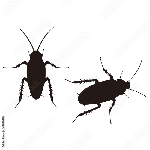 cockroach set, icon vector illustration sign
