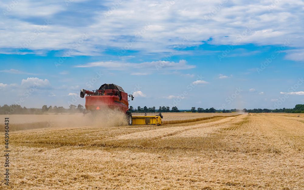 Obraz premium Big agricultural farming combine. Huge red farming machine working in the field.