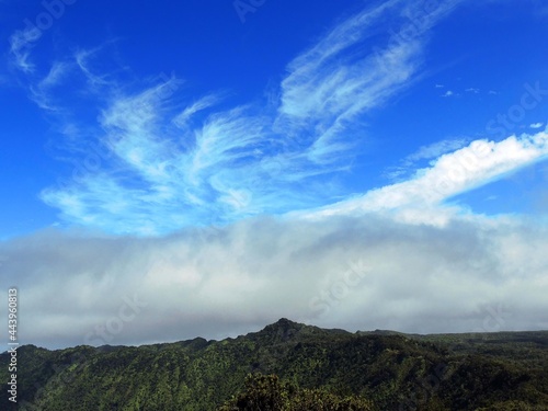 view of pihea peak and swirling  clouds from  the start of the  pihea trail at  the kalalau valley overlook  in, kauai, hawaii     photo