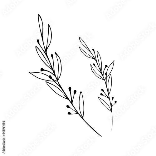 Fototapeta Naklejka Na Ścianę i Meble -  Botanical linear leaf set. Abstract minimalist leaves collection, creative herbal art. Hand drawn wedding herb, plant and monogram with elegant leaves for invitation save the date. Vector illustration
