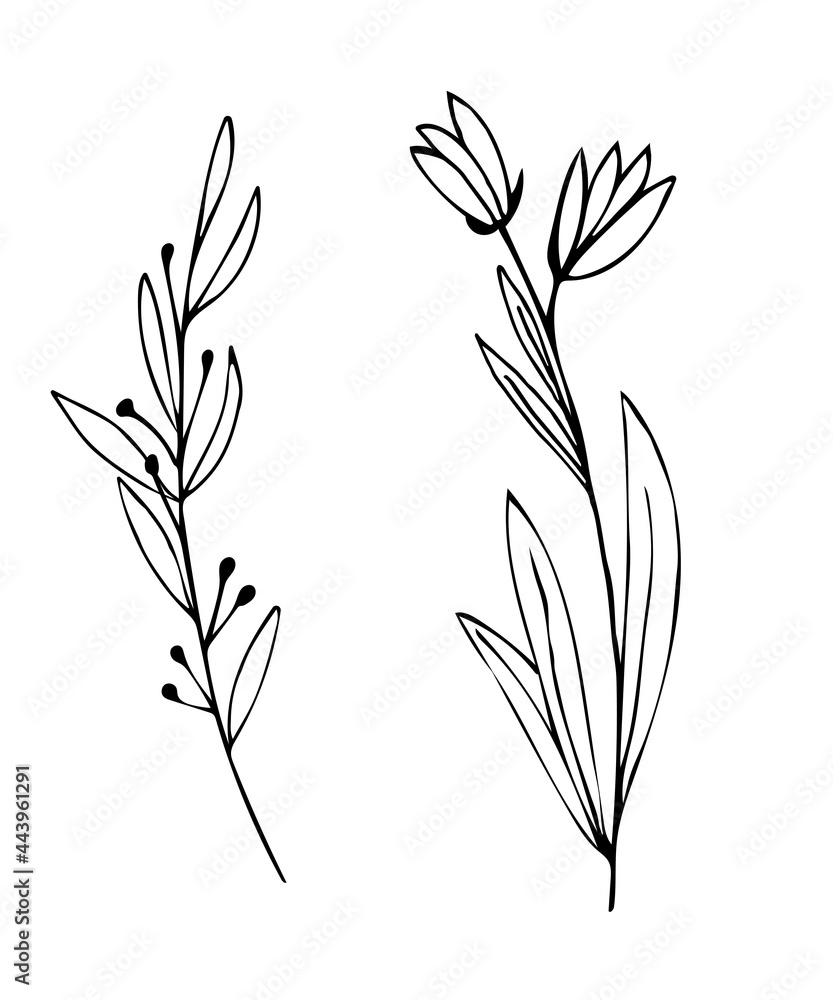 Botanical linear leaf set. Abstract minimalist leaves collection, creative herbal art. Hand drawn wedding herb, plant and monogram with elegant leaves for invitation save the date. Vector illustration Botanical linear leaf set. Abstract minimalist leaves collection, creative herbal art. Hand drawn wedding herb, plant and monogram with elegant leaves for invitation save the date. Vector illustration
