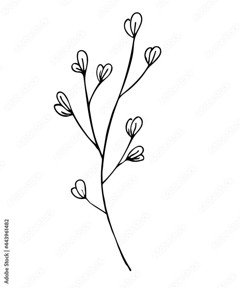 Hand drawn herbs. Minimal floral monograms. Blooming plants and branches with leaves. Row of contour flowers. Black and white decorative elements template. Vector foliage sketch illustration.