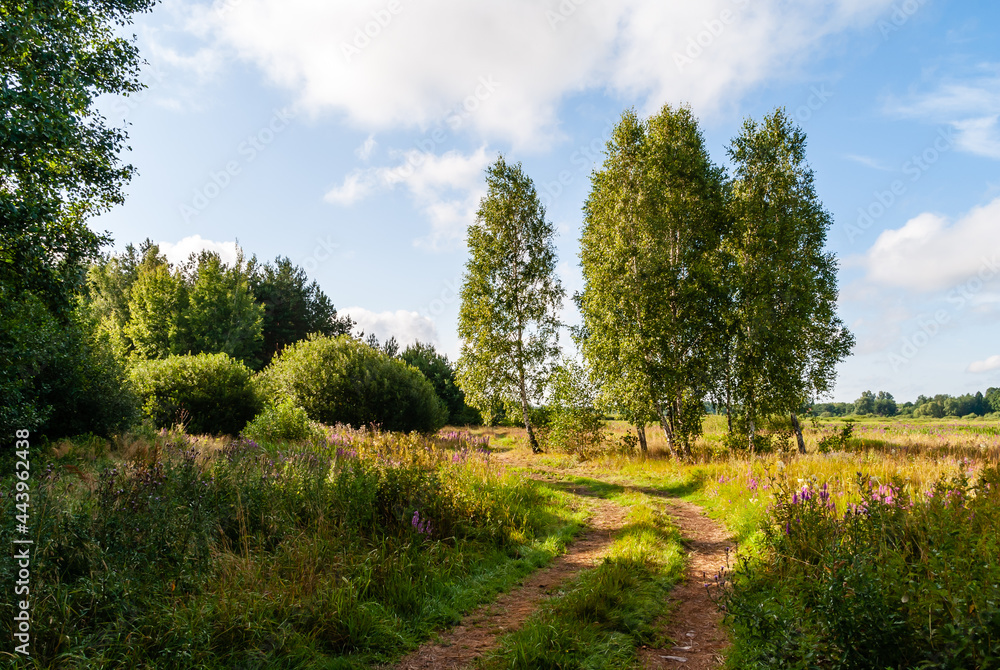 Upalne lato w Dolinie Górnej Narwi, Podlasie, Polska Upalne lato w Dolinie Górnej Narwi, Podlasie, Polska