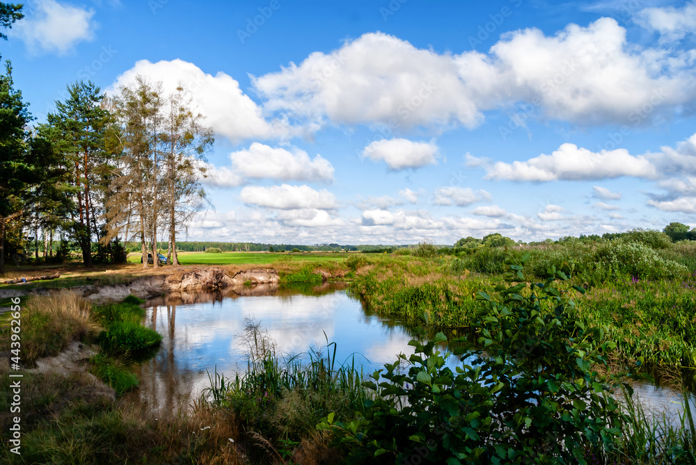 Upalne lato w Dolinie Górnej Narwi, Podlasie, Polska Upalne lato w Dolinie Górnej Narwi, Podlasie, Polska