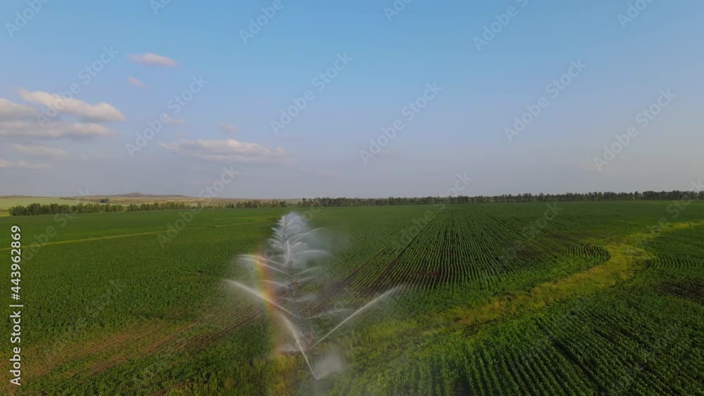 Pivot irrigation system. Rainbow. Agriculture. Aerial view Pivot irrigation system. Rainbow. Agriculture. Aerial view