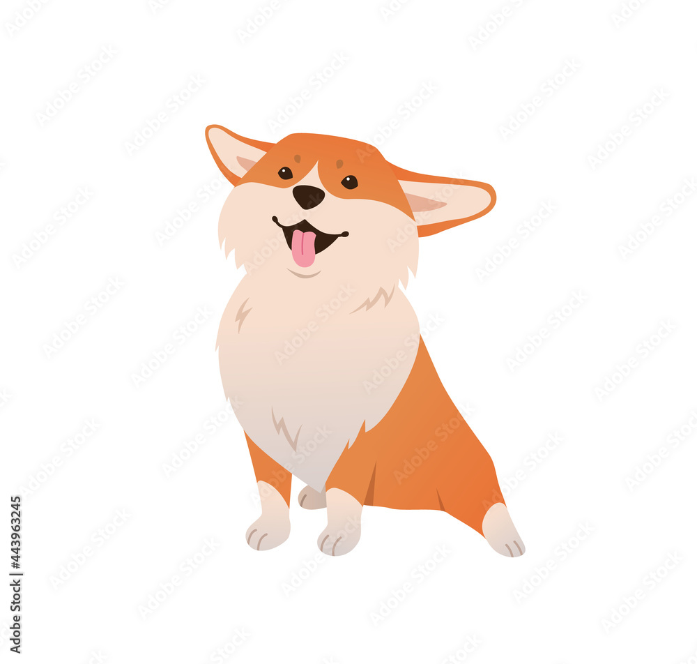 Obraz premium Funny cheerful smiling Corgi dog sitting on white background. Happy pet flat cartoon. Vector illustration