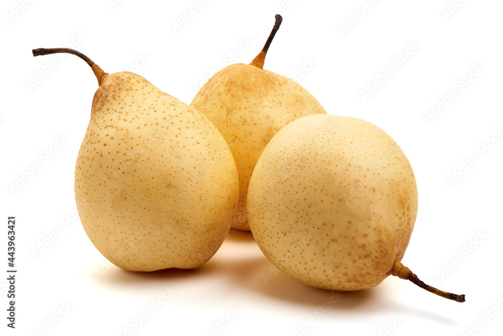Fresh asian pears, isolated on white background. High resolution image. Fresh asian pears, isolated on white background. High resolution image.