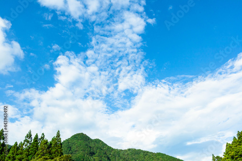 Fototapeta Naklejka Na Ścianę i Meble -  新緑の山と青い空と白い雲