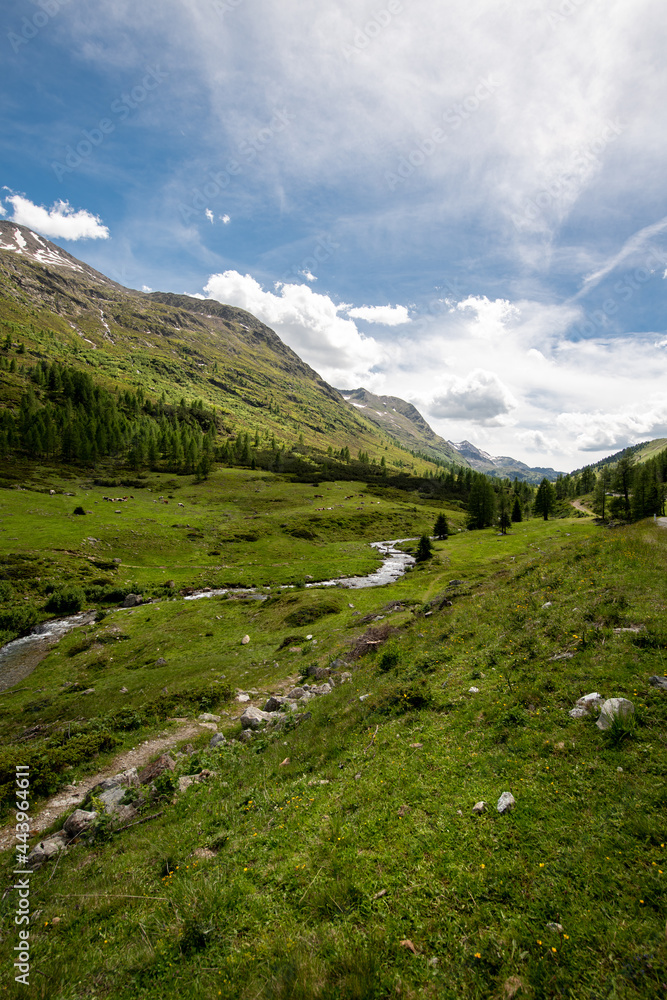 Landschaft am Ende des Defereggental am Staller Sattel, Osttirol, Österreich im Sommer