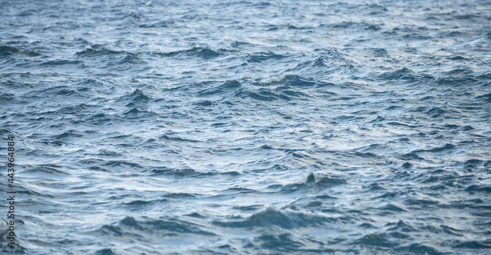 Obraz premium Calm sea water surface texture with splashes and waves. Abstract nature background. Background of aqua ocean water surface.