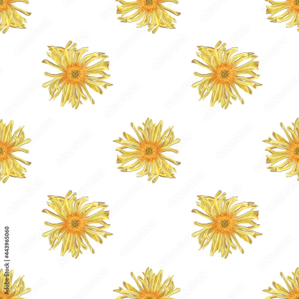 Yellow gerbera floral repeating pattern. 