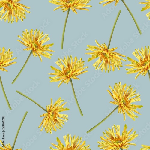 Yellow gerbera floral seamless pattern. 