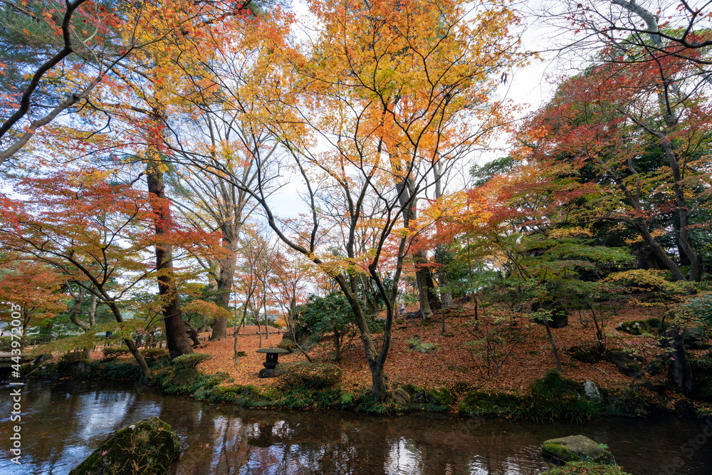 美しく紅葉した金沢の観光名所・兼六園 美しく紅葉した金沢の観光名所・兼六園