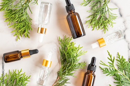 Glass dropper bottles with cosmetic oil, essential or serum on marble background with thuja branches. Concept of natural organic cosmetics. Herbal homeopathic products.