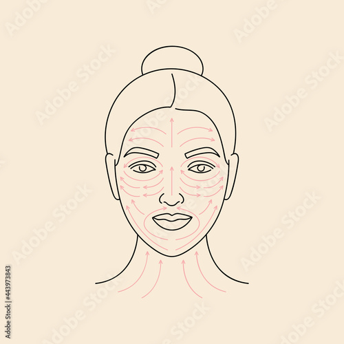 Vector illustration method fo face massage. Female face with arrow lines. Facial beauty treatment.