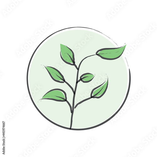 Green leaf illustration