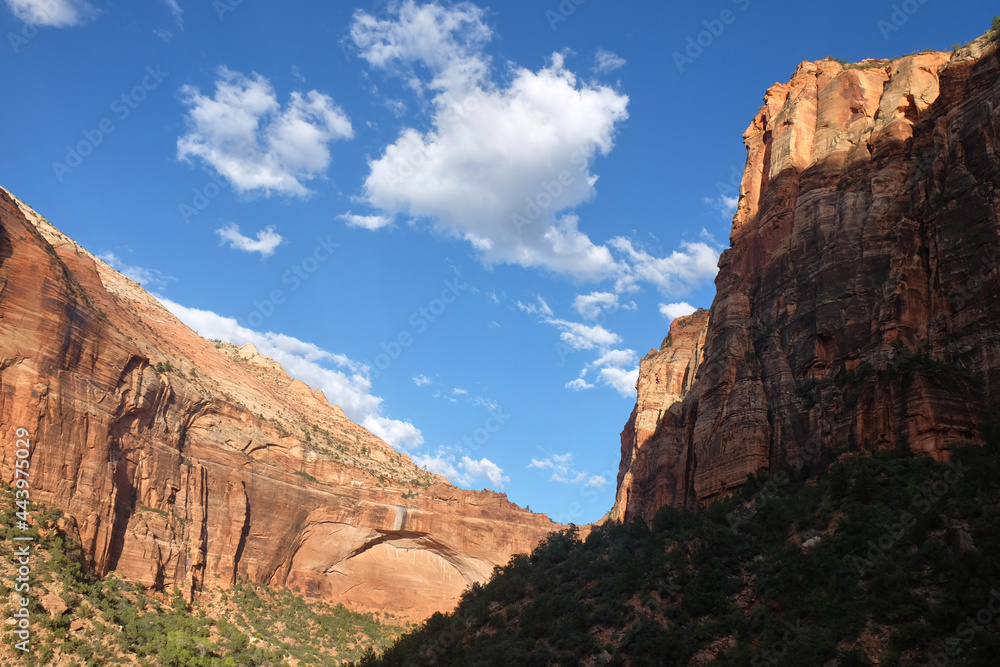 Spectacular mountain of Zion national park, Utah, USA Spectacular mountain of Zion national park, Utah, USA