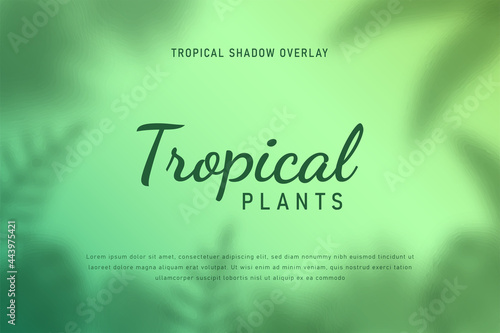 set of tropical leaves shadow overlay background illustration vector