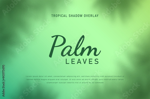 Palm leaves shadow overlay background illustration vector