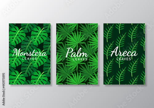 Set of tropical leaves poster covers background
