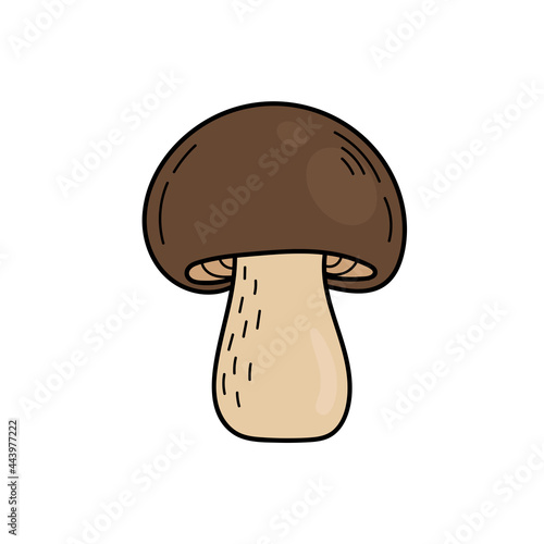 Cute edible mushroom in doodle style. Ingredients for cooking, salads. Autumn plant harvesting. Vector hand illustration