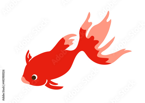 シンプルでかわいい真っ赤な金魚のイラスト／Simple and cute illustration of a bright red goldfish