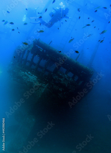 Wreck of wooden fishing boat near Solta island, Adriatic Sea, Croatia