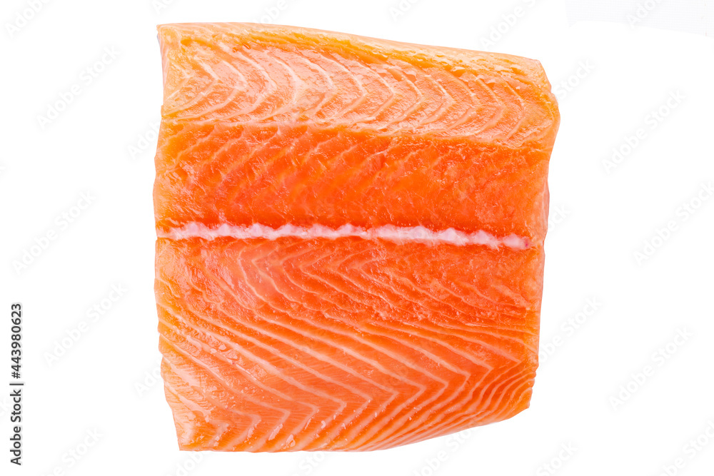 fresh raw salmon slice fresh raw salmon slice