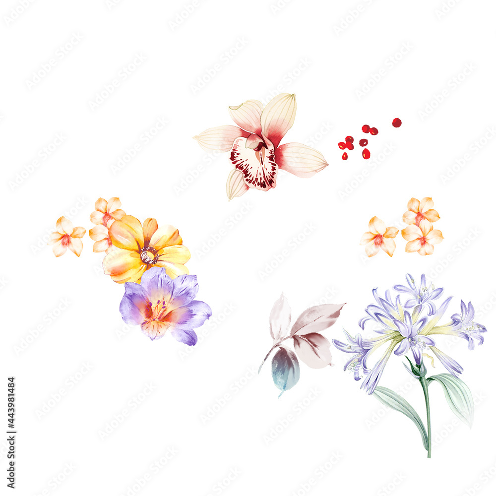 Obraz Butterflies and all kinds of hand-painted watercolor flowers