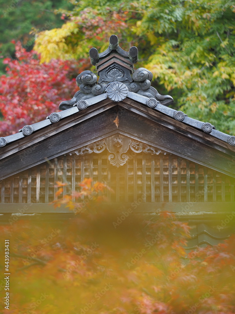 Obraz premium 紅葉とお寺の瓦屋根