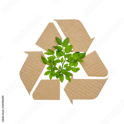 Cardboard recycling symbol with green branch