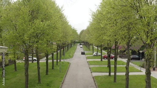 Suburban street scene