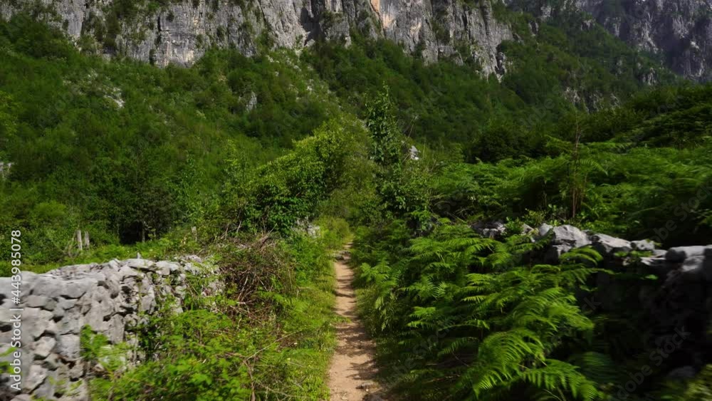 Hiking path through stone walls and green vegetation on beautiful Alpine valley in North Albania Hiking path through stone walls and green vegetation on beautiful Alpine valley in North Albania