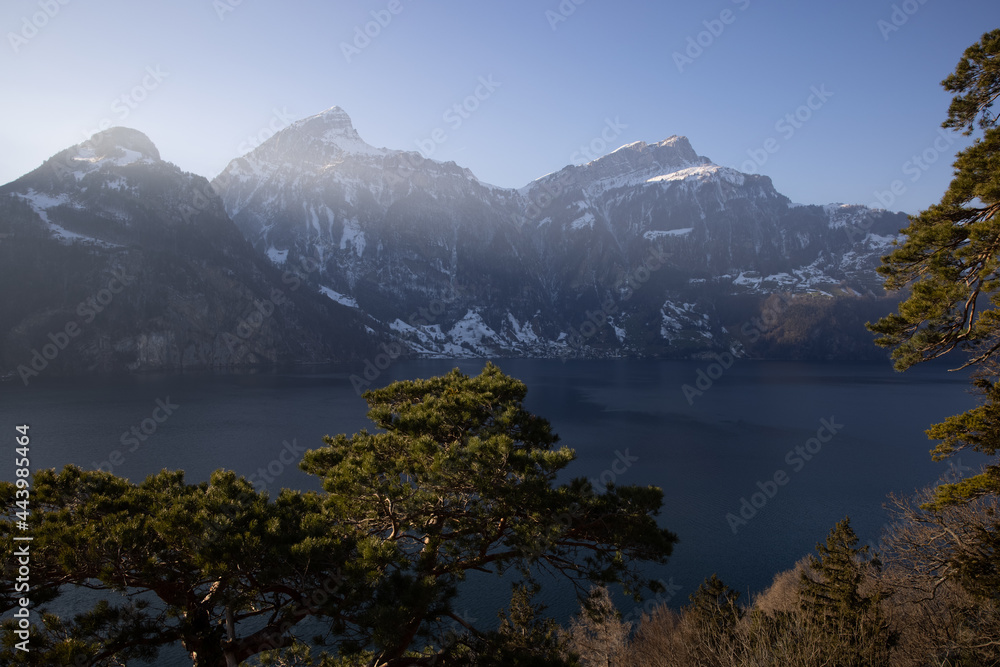 Obraz premium Wunderschöner Ausblick auf den Vierwaldstättersee. Wahnsinns Kulisse.