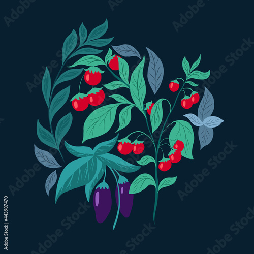Flat illustration of vegetables on a dark green background. Cherry tomato bush, eggplant, basil and herbs. Vegetable garden and agriculture. Cartoon nature picture