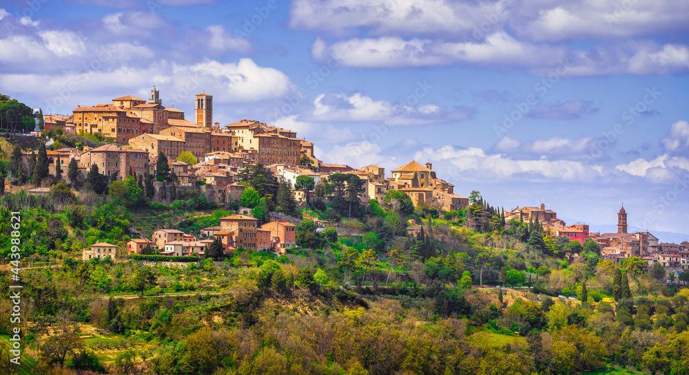 Fototapeta premium Montepulciano skyline village. Siena, Tuscany Italy