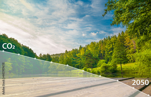 Net Zero Emissions Target