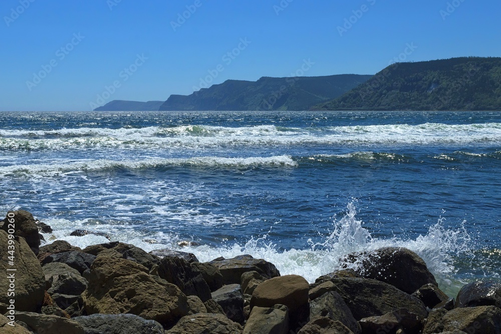 Strait of Tartary ( sea of Japan ) coast,  Siziman Bay. Natural monument 