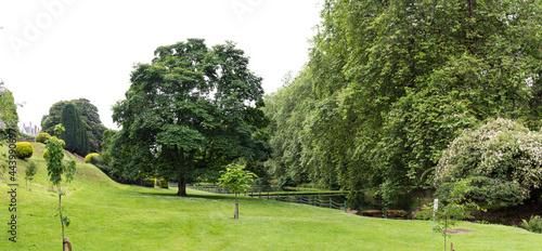 British countryside. Large trees at St Fagans, Cardiff, United Kingdom photo