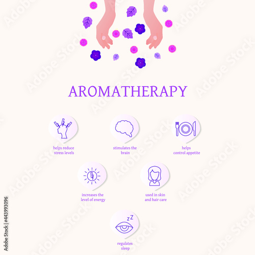 Essential oil infographics. The benefits of aromatherapy. The use and effect of essential oils on the human body.