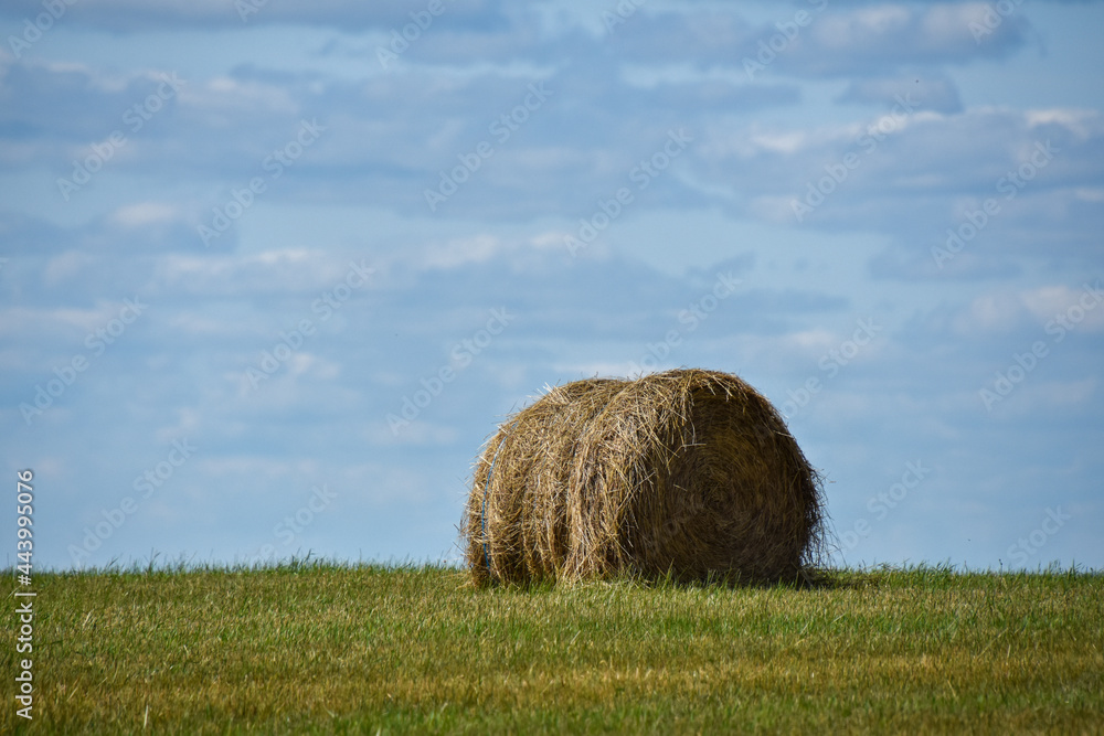 Countryside landscape with farm in Quebec, Canada Countryside landscape with farm in Quebec, Canada