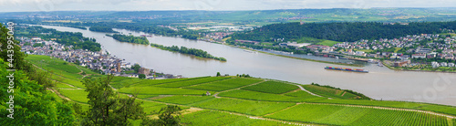 City of Bingen am Rhein from Rheingau. Wonderful Rhine landscape.