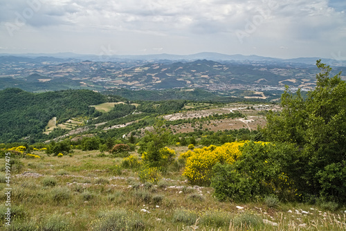 Vista lungo il sentiero 441 che va dal santuario del Pelingo al monte Pietralata nel paco della gola del furlo photo