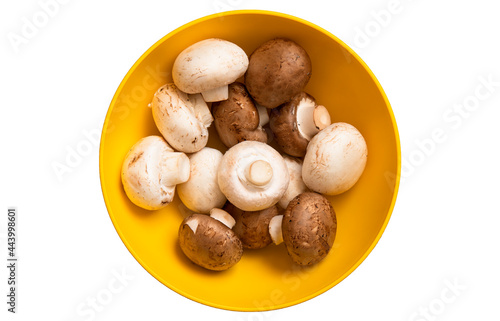 Fresh white and brown whole mushrooms champignon in yellow bowl isolated on white background