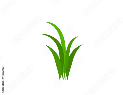 Flat green grass. Spring. Gazon. Vector icon. web version.