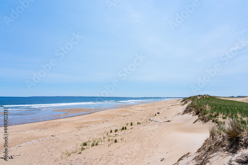 Fototapeta Naklejka Na Ścianę i Meble -  Sand dune beaches on a peninsula by the Atlantic Ocean. State of Massachusetts, USA
