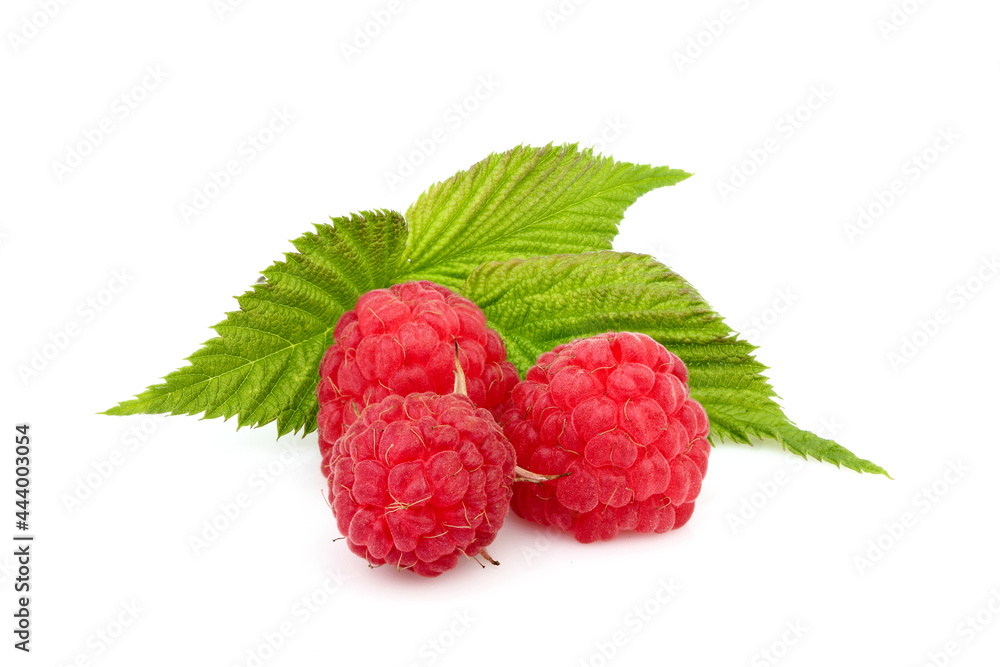 Raspberry with leaf isolated on white. Raspberry with leaf isolated on white.