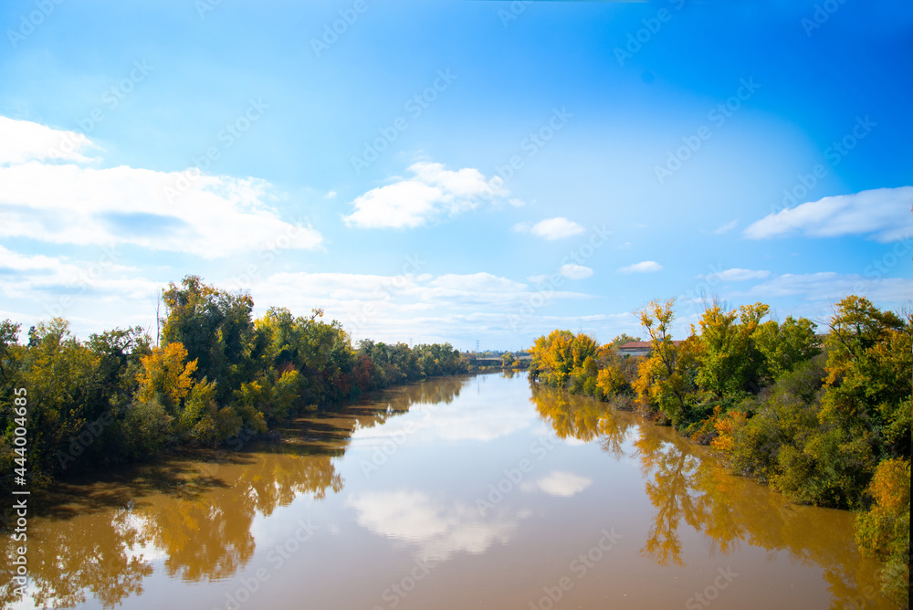 Autumn trees standing beside the river under a blue sky, Beautiful landscape photography in valladolid spain