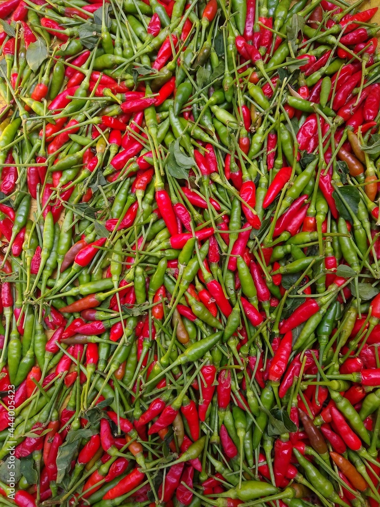Bird's eye chilli, green and red colour chillies